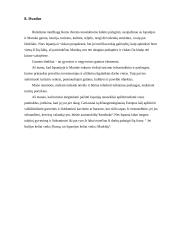 Turistiniai ištekliai Ispanijoje ir Maroke 17 puslapis