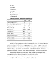 Turistiniai ištekliai Ispanijoje ir Maroke 4 puslapis