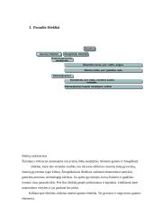 Turistiniai ištekliai Ispanijoje ir Maroke 6 puslapis