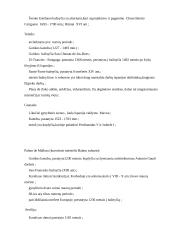 Turistiniai ištekliai Ispanijoje ir Maroke 9 puslapis