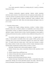 Kainodaros politika įmonėje X 9 puslapis