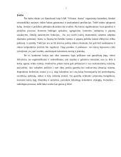 Kainodaros organizavimas UAB Birzų duona 2 puslapis