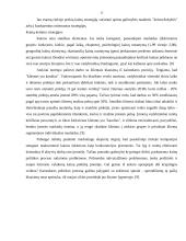 Kainodaros organizavimas UAB Birzų duona 12 puslapis