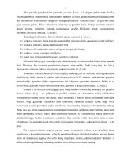 Kainodaros organizavimas UAB Birzų duona 8 puslapis