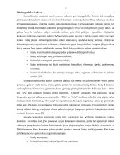 Kainodaros organizavimas UAB Birzų duona 10 puslapis