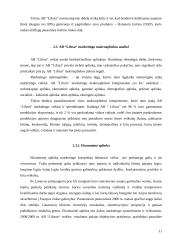 AB “Lifosa” marketingo programa 11 puslapis