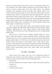 AB “Lifosa” marketingo programa 13 puslapis