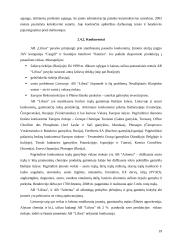 AB “Lifosa” marketingo programa 19 puslapis