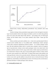 X įmonės paslaugų kainų formavimas ir jo vertinimas 13 puslapis