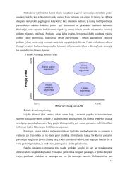 X įmonės paslaugų kainų formavimas ir jo vertinimas 14 puslapis