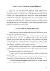 X įmonės paslaugų kainų formavimas ir jo vertinimas 6 puslapis