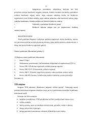 Kailinių drabužių siuvimo verslas 11 puslapis