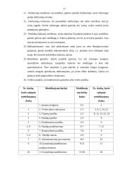 Kailinių drabužių siuvimo verslas 17 puslapis