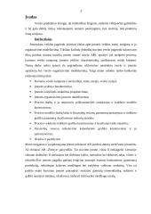 Kailinių drabužių siuvimo verslas 3 puslapis