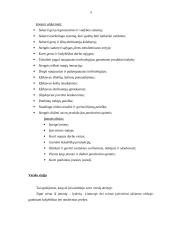 Kailinių drabužių siuvimo verslas 5 puslapis