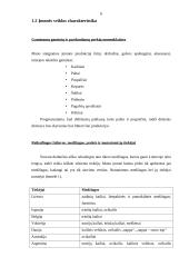 Kailinių drabužių siuvimo verslas 6 puslapis