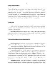 Kailinių drabužių siuvimo verslas 8 puslapis