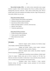 Kailinių drabužių siuvimo verslas 10 puslapis