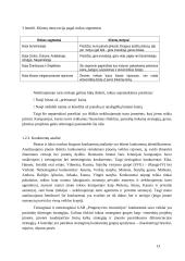 Rinkodaros komunikacijos tobulinimas UAB “Progresyvios investicijos” 13 puslapis