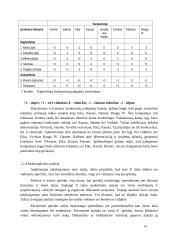 Rinkodaros komunikacijos tobulinimas UAB “Progresyvios investicijos” 15 puslapis