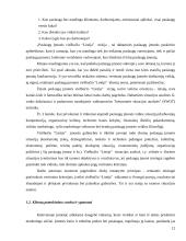 Klientų aptarnavimo tyrimas organizuojant viešbučio veiklą Lietuvoje 12 puslapis