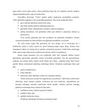Konceptualioji globaliojo marketingo esmė 14 puslapis