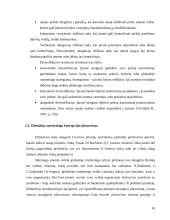 Konceptualioji globaliojo marketingo esmė 18 puslapis
