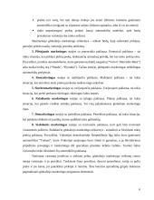Konceptualioji globaliojo marketingo esmė 6 puslapis