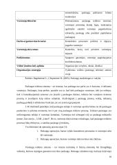 UAB "Lintel" paslaugų marketingas  10 puslapis