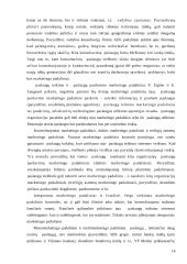 Marketingo padalinių organizavimas 16 puslapis