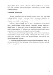 Marketingo padalinių organizavimas 17 puslapis