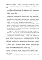 Marketingo padalinių organizavimas 4 puslapis