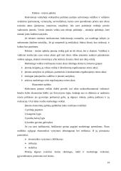 Kauno AB “Panevėžio statybos trestas” marketingo strateginio valdymo aspektai ir jos diversifikacija 14 puslapis