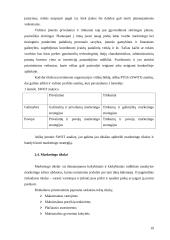 Kauno AB “Panevėžio statybos trestas” marketingo strateginio valdymo aspektai ir jos diversifikacija 19 puslapis