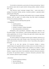 Kauno AB “Panevėžio statybos trestas” marketingo strateginio valdymo aspektai ir jos diversifikacija 20 puslapis