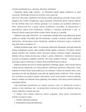 Kasdienės paklausos pasirinkimo kriterijų tyrimas 6 puslapis