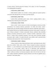 Naujos paslaugos įvedimas grožio salone „Sothys“ 6 puslapis