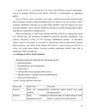 Verslo paslaugas teikiančių įmonių rėmimo komplekso tobulinimas 11 puslapis