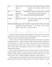 Verslo paslaugas teikiančių įmonių rėmimo komplekso tobulinimas 12 puslapis