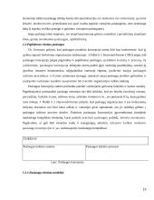 Verslo paslaugas teikiančių įmonių rėmimo komplekso tobulinimas 13 puslapis