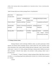 Verslo paslaugas teikiančių įmonių rėmimo komplekso tobulinimas 19 puslapis