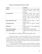 Verslo paslaugas teikiančių įmonių rėmimo komplekso tobulinimas 20 puslapis