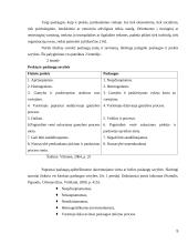 Verslo paslaugas teikiančių įmonių rėmimo komplekso tobulinimas 5 puslapis