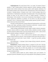 Verslo paslaugas teikiančių įmonių rėmimo komplekso tobulinimas 6 puslapis