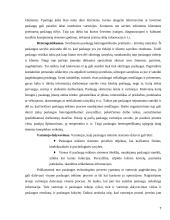 Verslo paslaugas teikiančių įmonių rėmimo komplekso tobulinimas 7 puslapis