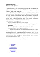 Kultūros įmonės praktikos ataskaita 3 puslapis
