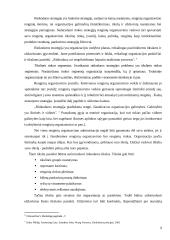 Kultūros įmonės praktikos ataskaita 9 puslapis