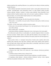 Etiškos ir neetiškos reklamos pateikimas Lietuvos ir užsienio žiniasklaidoje 12 puslapis