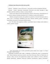 Etiškos ir neetiškos reklamos pateikimas Lietuvos ir užsienio žiniasklaidoje 4 puslapis