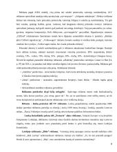 Etiškos ir neetiškos reklamos pateikimas Lietuvos ir užsienio žiniasklaidoje 8 puslapis